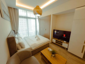 Cozy Studio Apt near Downtown
